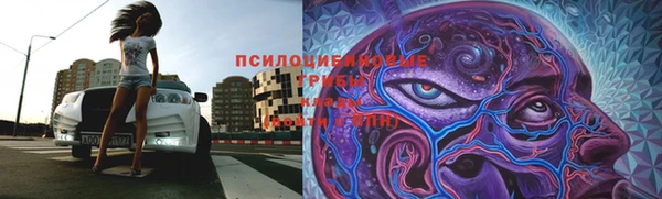 прущие крисы Алзамай