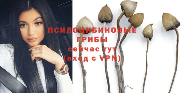 прущие крисы Алексин