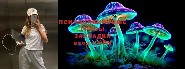 прущие крисы Алзамай
