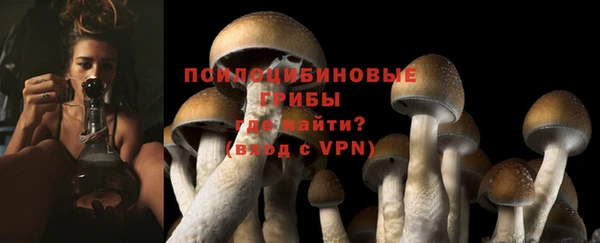прущие грибы Алексеевка