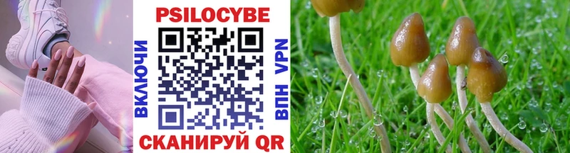 Псилоцибиновые грибы MAGIC MUSHROOMS  Гаджиево 